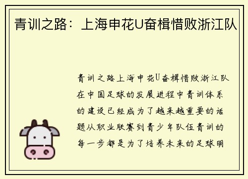 青训之路：上海申花U奋楫惜败浙江队