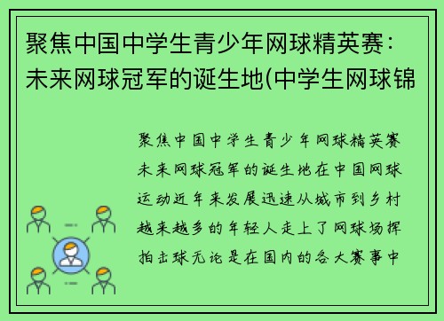 聚焦中国中学生青少年网球精英赛：未来网球冠军的诞生地(中学生网球锦标赛)